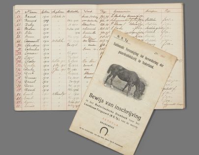 211208_notitieboek paarden_ d grijs.jpg