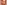 211208_Affiche.jpg